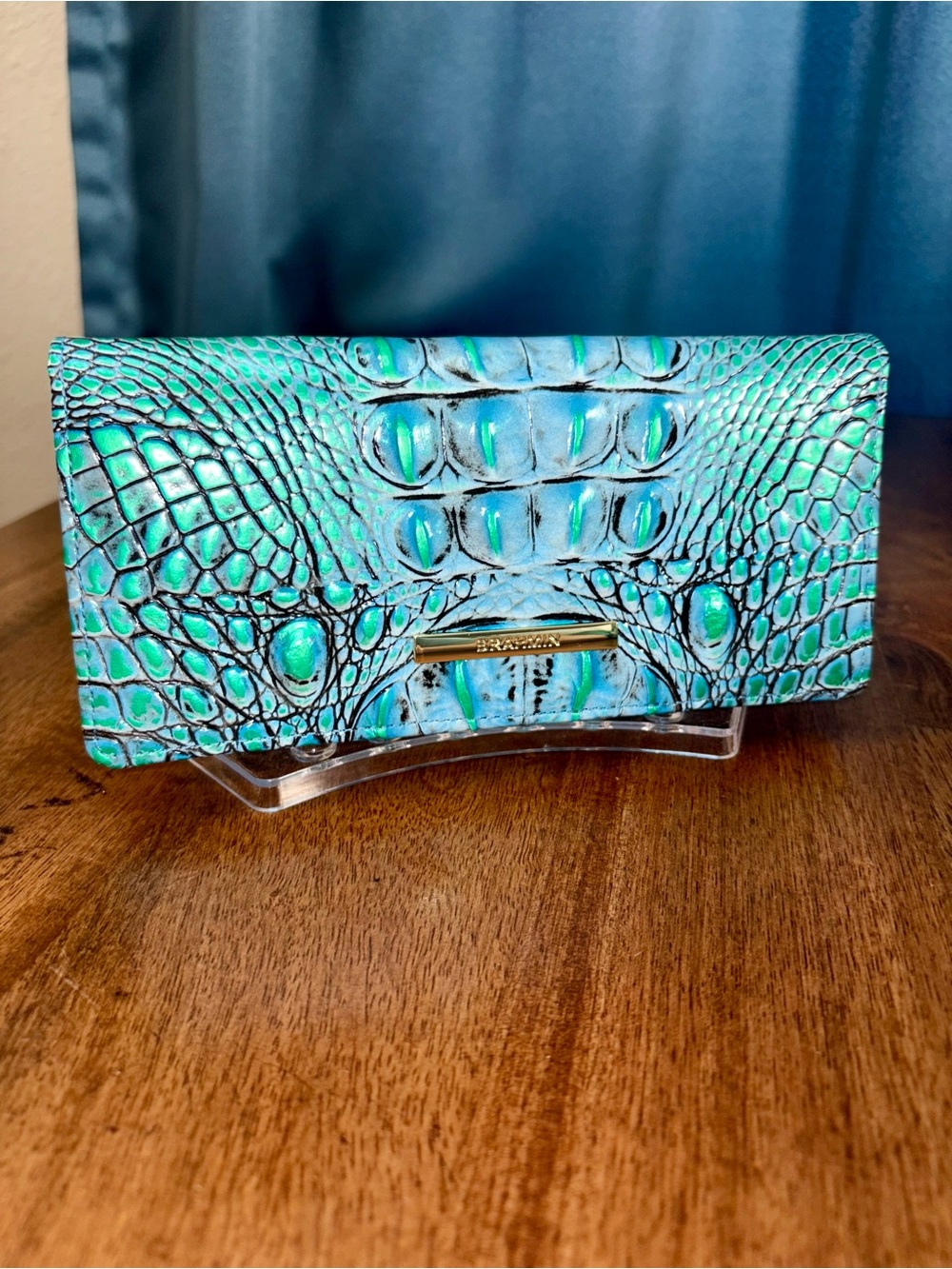 Brahmin EUC Ady - Multi Esplanade (solid) - Metallic - LIKE NEW - Back Eye